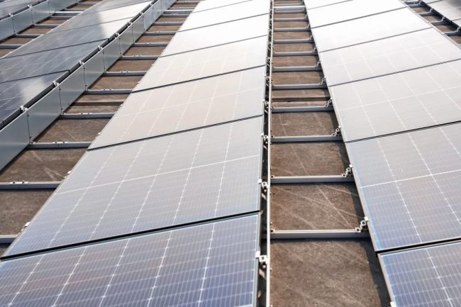 1752737123-c709a026727ea75